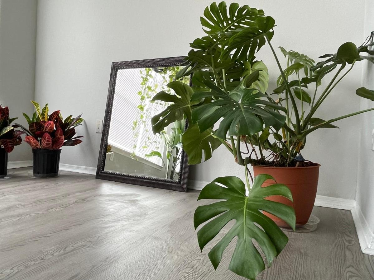 Next To Universal! 2Bedroom-2Bath-Many Indoor Plants Orlando Extérieur photo